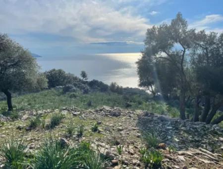 8,900M2 Field For Sale With Full Sea View In Ekincik