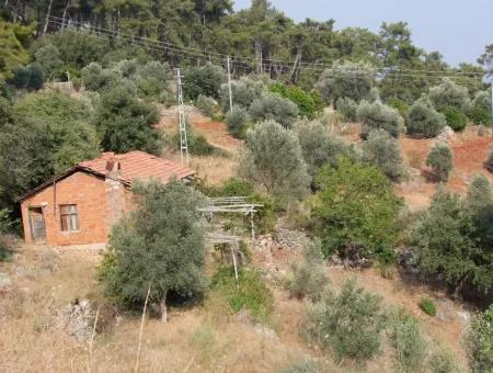 5000M2 Plot Of Land For Sale In Akyaka With Full Sea View House For Sale Kentucky