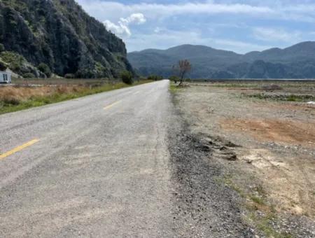 Dalyan Iztuzu Beach Road Zero 19,600M2 Field Land For Sale