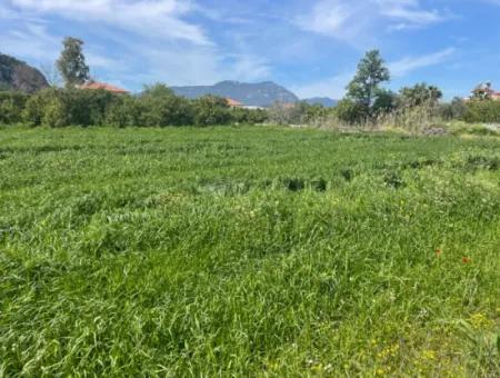 736M2 Land For Sale In Okçular