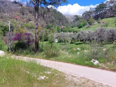 Marmaris Turgut Investment Land For Sale 29600M2 For Sale