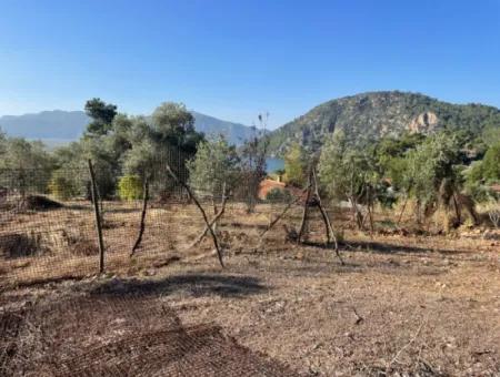 Çandır Full Sea And Lake View 500M2 2B Field For Sale