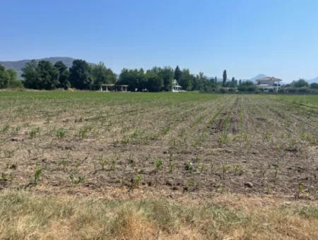 Land For Sale Of 2715M2 In The Built-Up Area Of The Village In Okçular