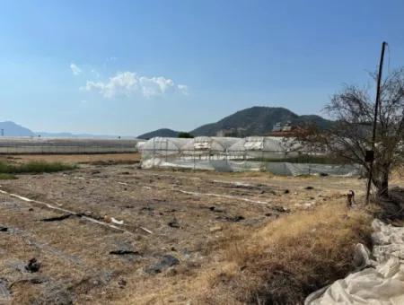 1462M2 Zoned Land For Sale In Ortaca Ekşiliyurt