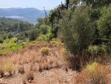 Göcek'de Satılık Arsa Göcekde Turizm İmarlı Deniz Manzaralı Satılık Arsa