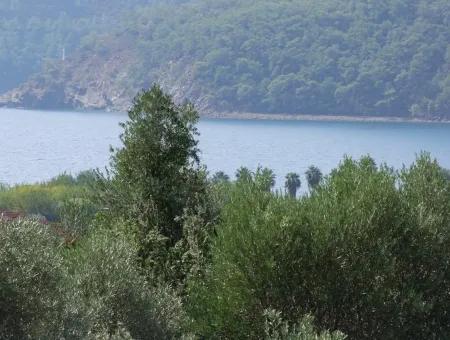 Ekincik Satılık Arsa Deniz Manzaralı 5,391M2 Satılık Arsa