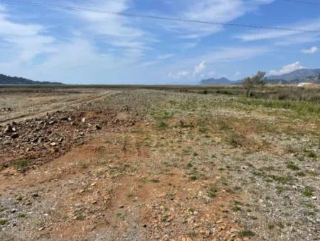 Dalyan İztuzu Plaj Yoluna Sıfır 19,600M2 Satılık Tarla Arazi