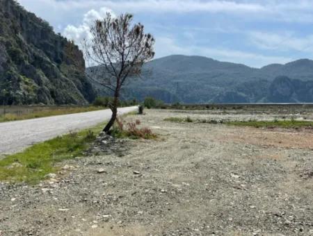 Dalyan İztuzu Plaj Yoluna Sıfır 19,600M2 Satılık Tarla Arazi