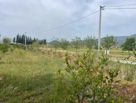 Dalyan'da 6500M2 Satılık Tarla